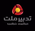 استخدام در تدبیر ملت