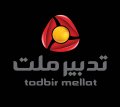 استخدام در تدبیر ملت