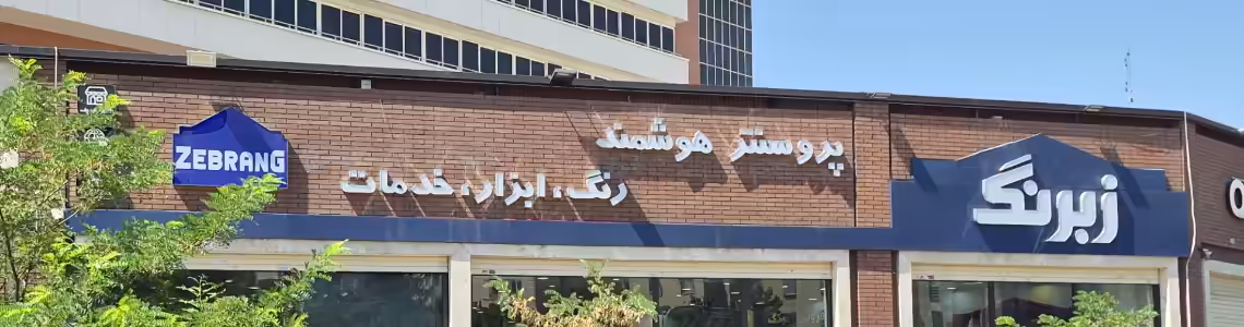 استخدام در زبرنگ