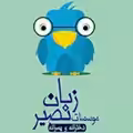 استخدام در زبان نصیر