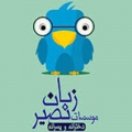 استخدام در زبان نصیر