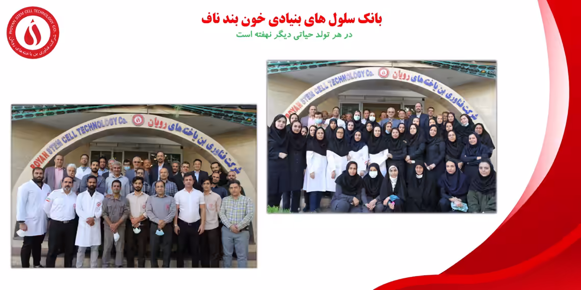 استخدام در رویان