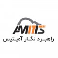 استخدام در راهبرد نگار آمیتیس