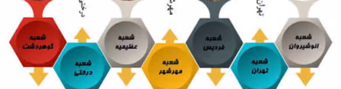 استخدام در زبان نصیر