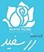 استخدام در رز سفید